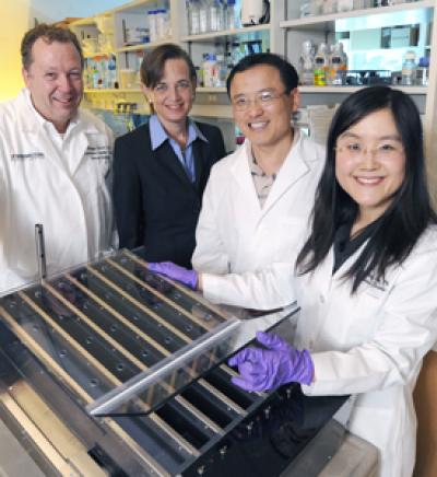 Dr. Beth Levine and Team, UT Southwestern Medical Center