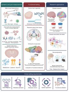 Joint measurement, functional testing, and research applications in brain multi-omics.