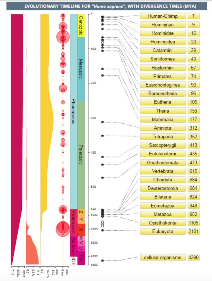 Next Generation TimeTree