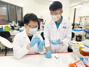 Research team members