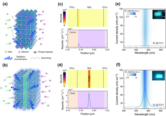 Analysis of PVDF on exciton recombination in QLEDs.