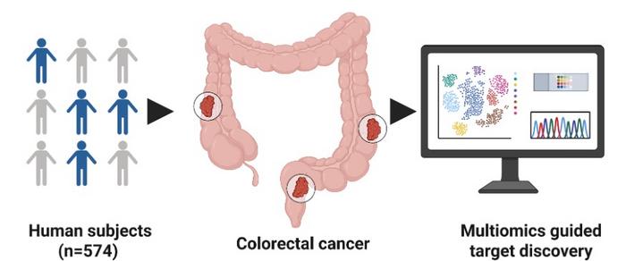 Multiomics identifies potential targets in metastatic colorectal cancer.