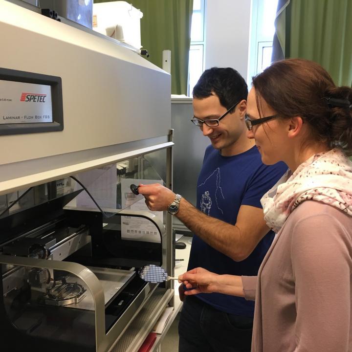 Christina Schindler and Bernhard Huber, American Institute of Physics 