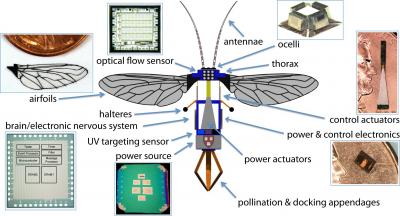 Close-up of Proposed Robotic Mobile Device