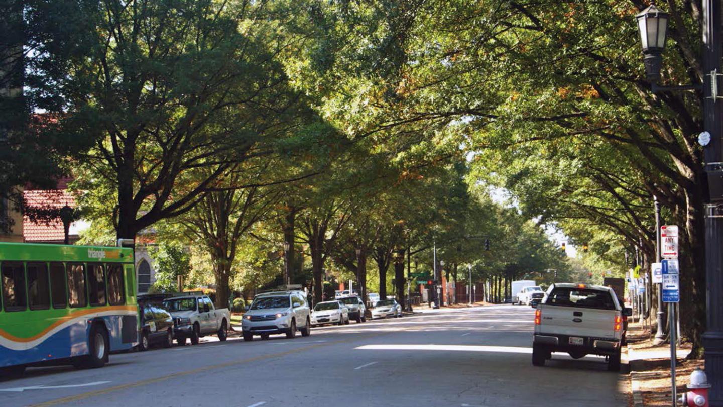 Water Plays Protective Role for Urban Trees