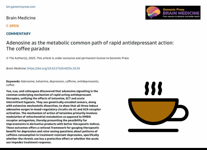 Adenosine as the metabolic common path of rapid antidepressant action: The coffee paradox