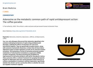 Adenosine as the metabolic common path of rapid antidepressant action: The coffee paradox