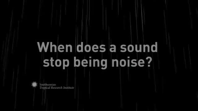 When Does a Sound Stop Being Noise?