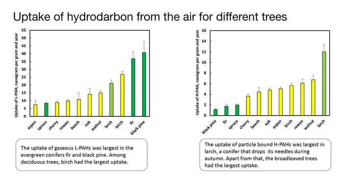 Uptake of hydrocarbon in different tree-species