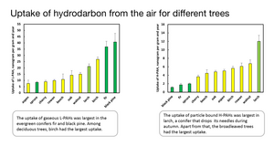 Uptake of hydrocarbon in different tree-species