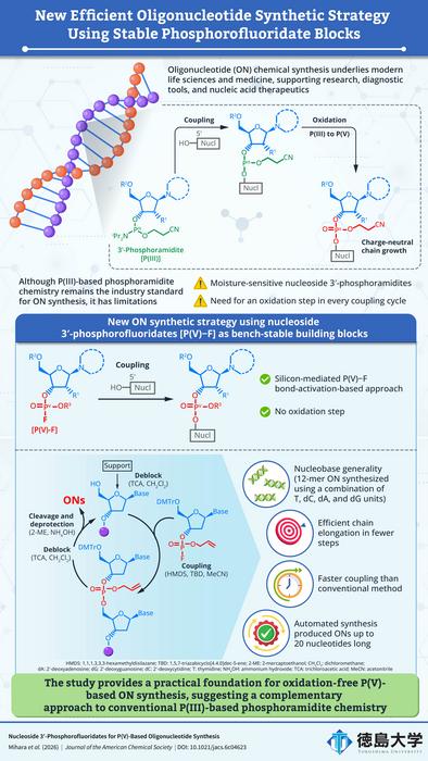 Efficient, oxidation-free, P(V)-based oligonucleotide synthesis strategy
