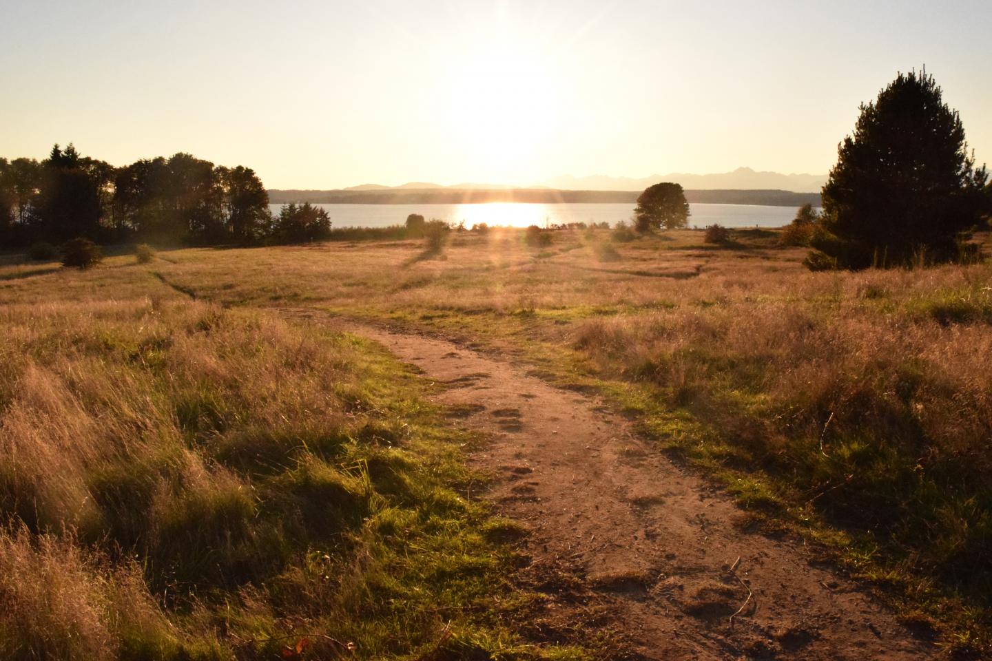 Pathway