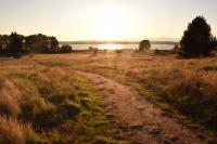 Pathway