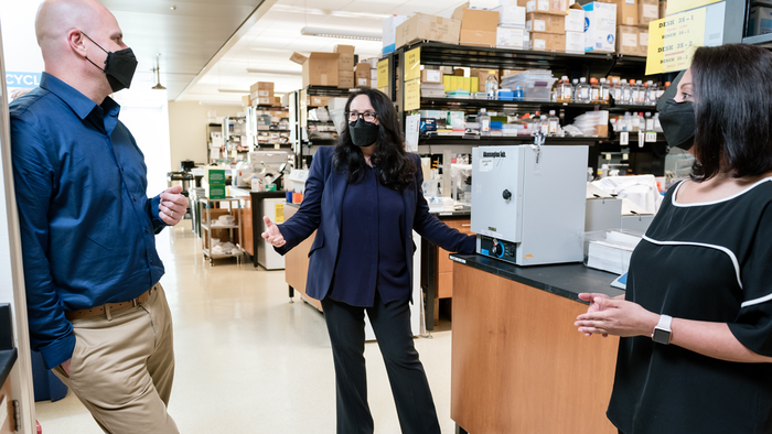 Gladstone scientists identify a promising therapy for multiple sclerosis