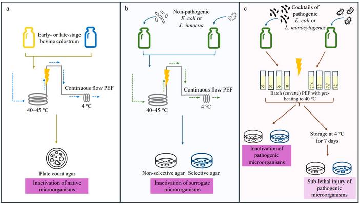 Overview of the three experimental trials conducted in this study.