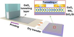 Ultrathin printed GaOx tunneling contacts for high-performance WS2 transistors