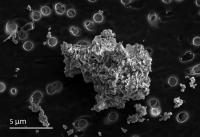 Interplanetary Dust Particle