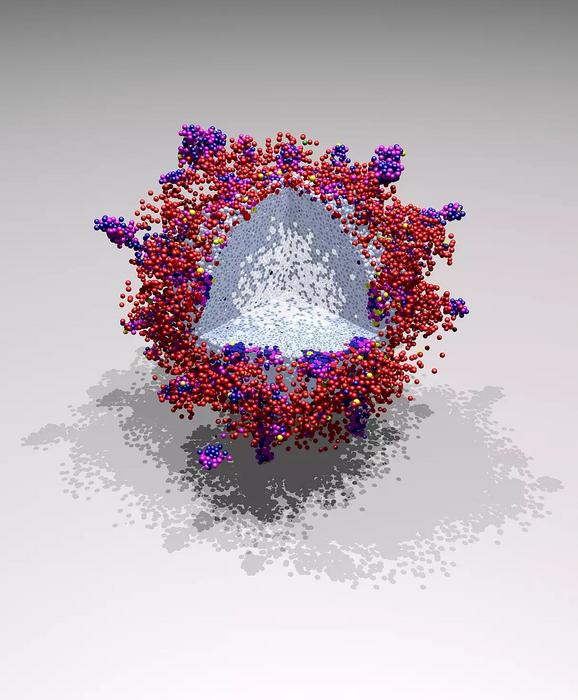 PhysiCell tumor illustration