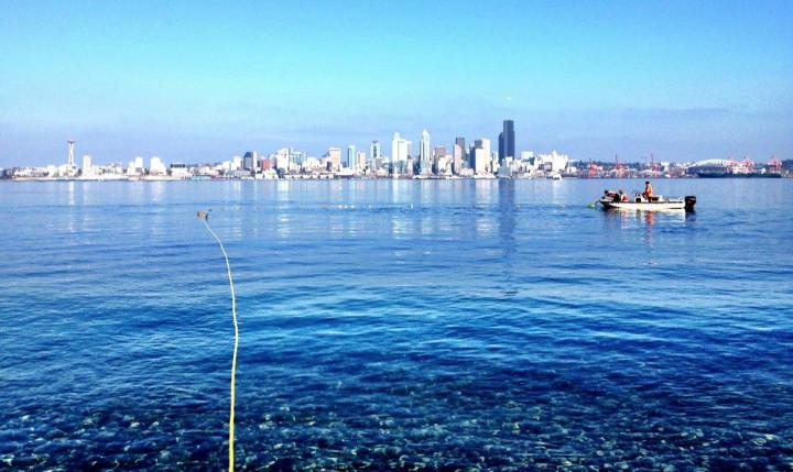 Seattle Shoreline and Beach