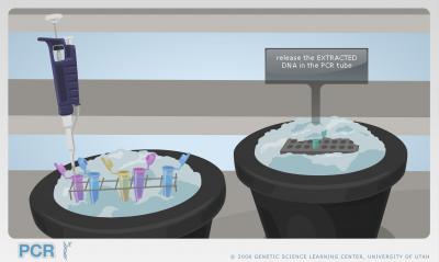 Genetics Education Web Sites Awarded New Science Prize (4 of 10)
