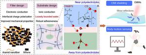 Aramid Nanofiber/MXene-Reinforced Polyelectrolyte Hydrogels for Absorption-Dominated Electromagnetic Interference Shielding and Wearable Sensing