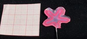 Video1: Milli-actuators.