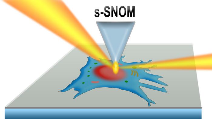 IR spectroscopy on cell