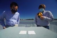 Researchers examining paint