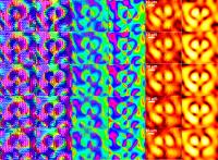 Polarization properties