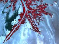 Oil Slick Satellite Photo