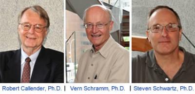 Einstein Principal Investigators