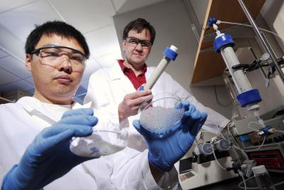 Examining Sand and Glass