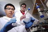 Examining Sand and Glass