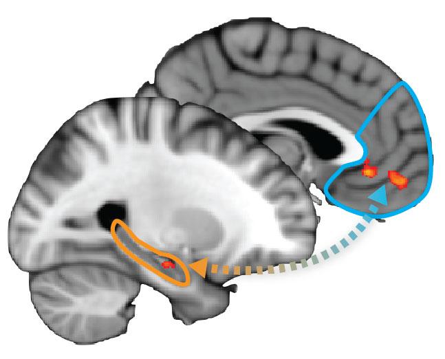 HPC and PFCIillustration