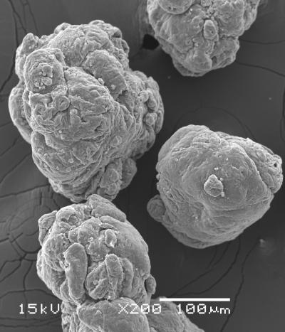 Microplastics Threat
