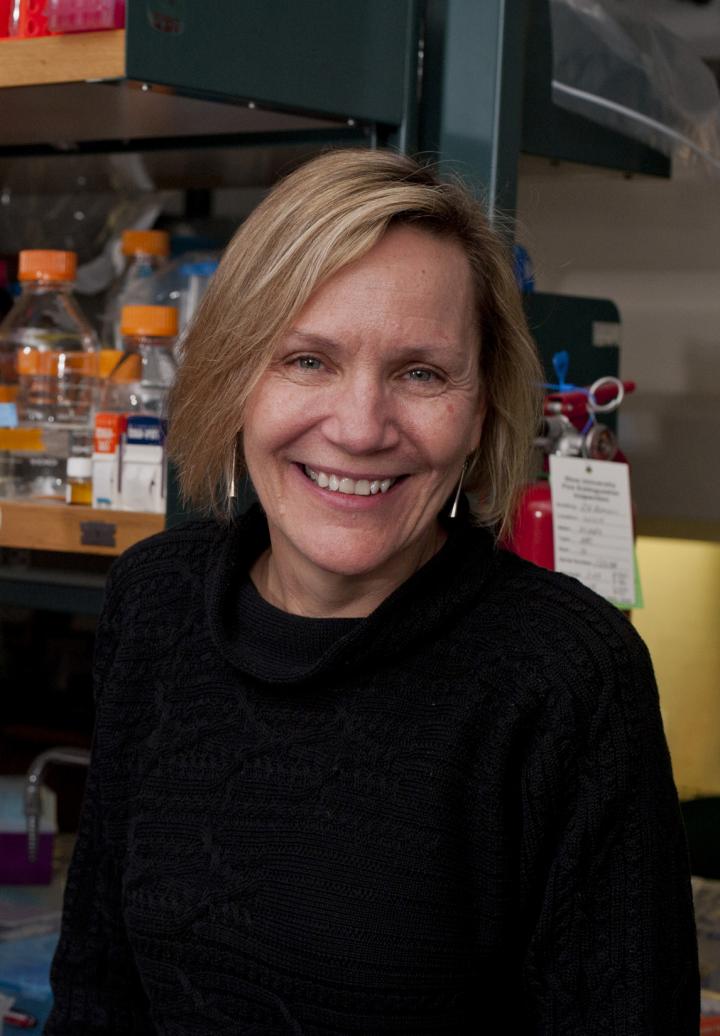 Janet Braam, Rice University 