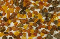Amber Samples from Germany