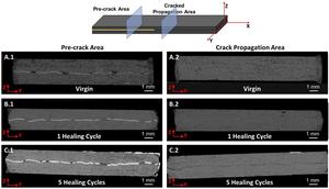 X-ray images of ATSP across five different damage-healing cycles.
