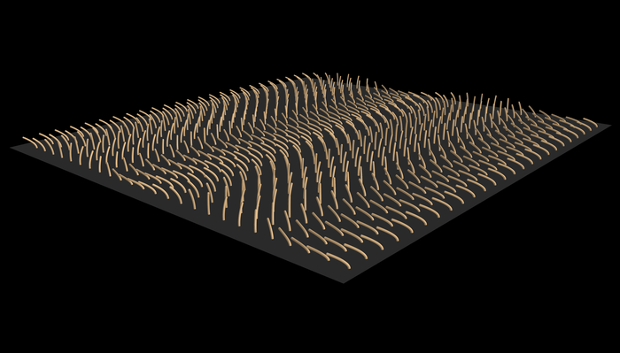 Metachronal waves of cilia