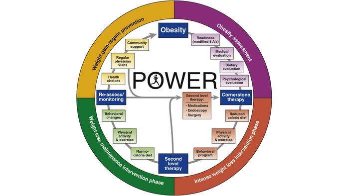 Practice Guide on Obesity and Weight Management, Education and Resources