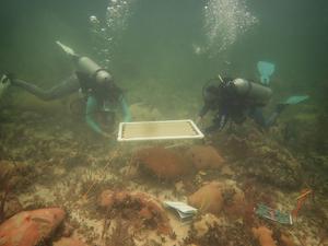 Kathryn Toth and Arelys Chaparro at work on a coral shade