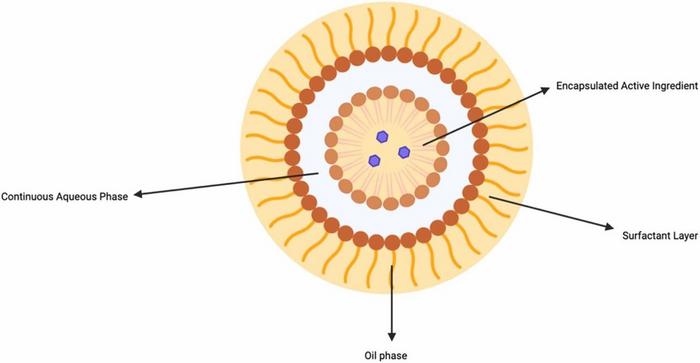 Fig. 1. Components of oil-in-water (O/W) nanoemulsion. Created by the author with BioRender.com