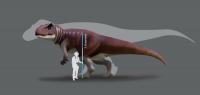 Dino Scale