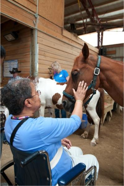 Equine Therapy (1 of 2)