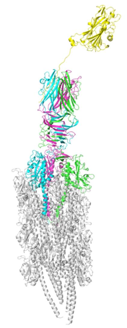 Fig.2