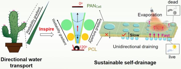 Cactus Thorn‑Inspired Janus Nanofiber Membranes as a Water Diode for Light‑Enhanced Diabetic Wound Healing