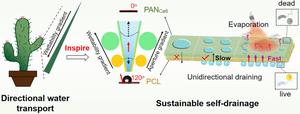 Cactus Thorn‑Inspired Janus Nanofiber Membranes as a Water Diode for Light‑Enhanced Diabetic Wound Healing