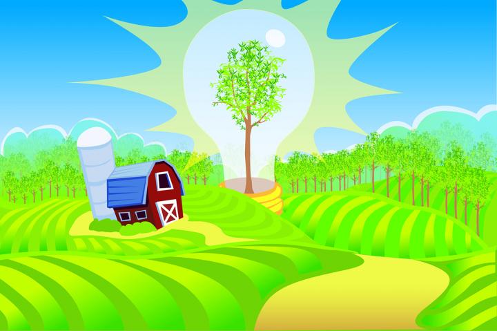 Bioenergy Crops