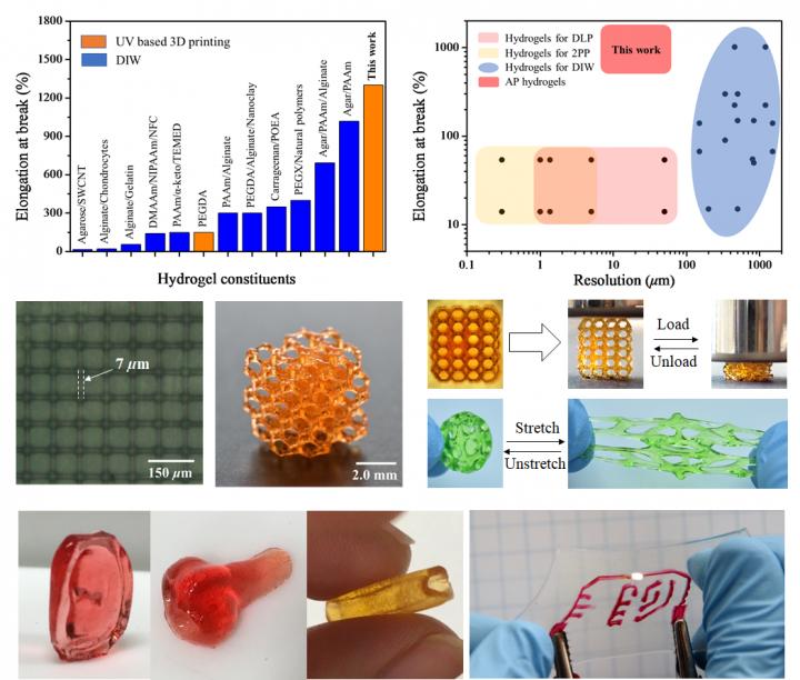 Hydrogel Figures