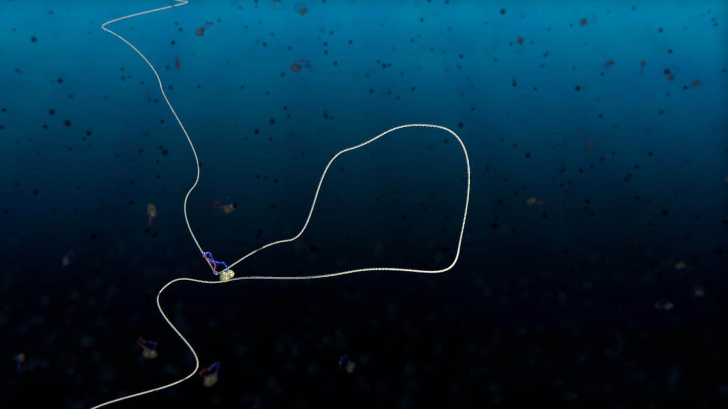 A Condensin Protein Complex Creates a Loop in DNA